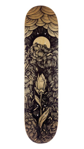 Bild des Skatedecks Pandora